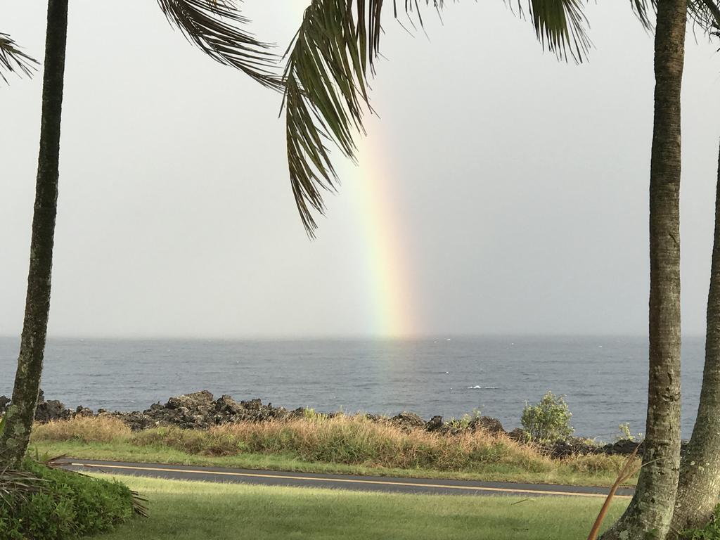 Nice Studio W/ Ac Near Kehena Beach And Lava Fields Ngoại thất bức ảnh